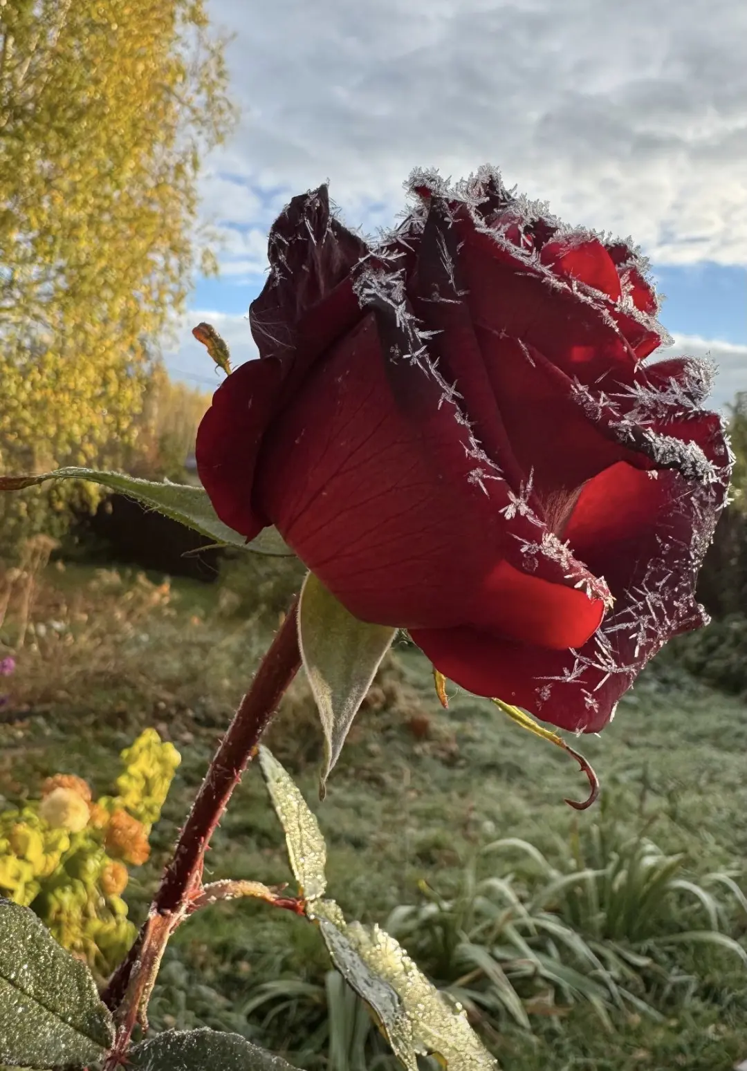 🌻 7 октябрь