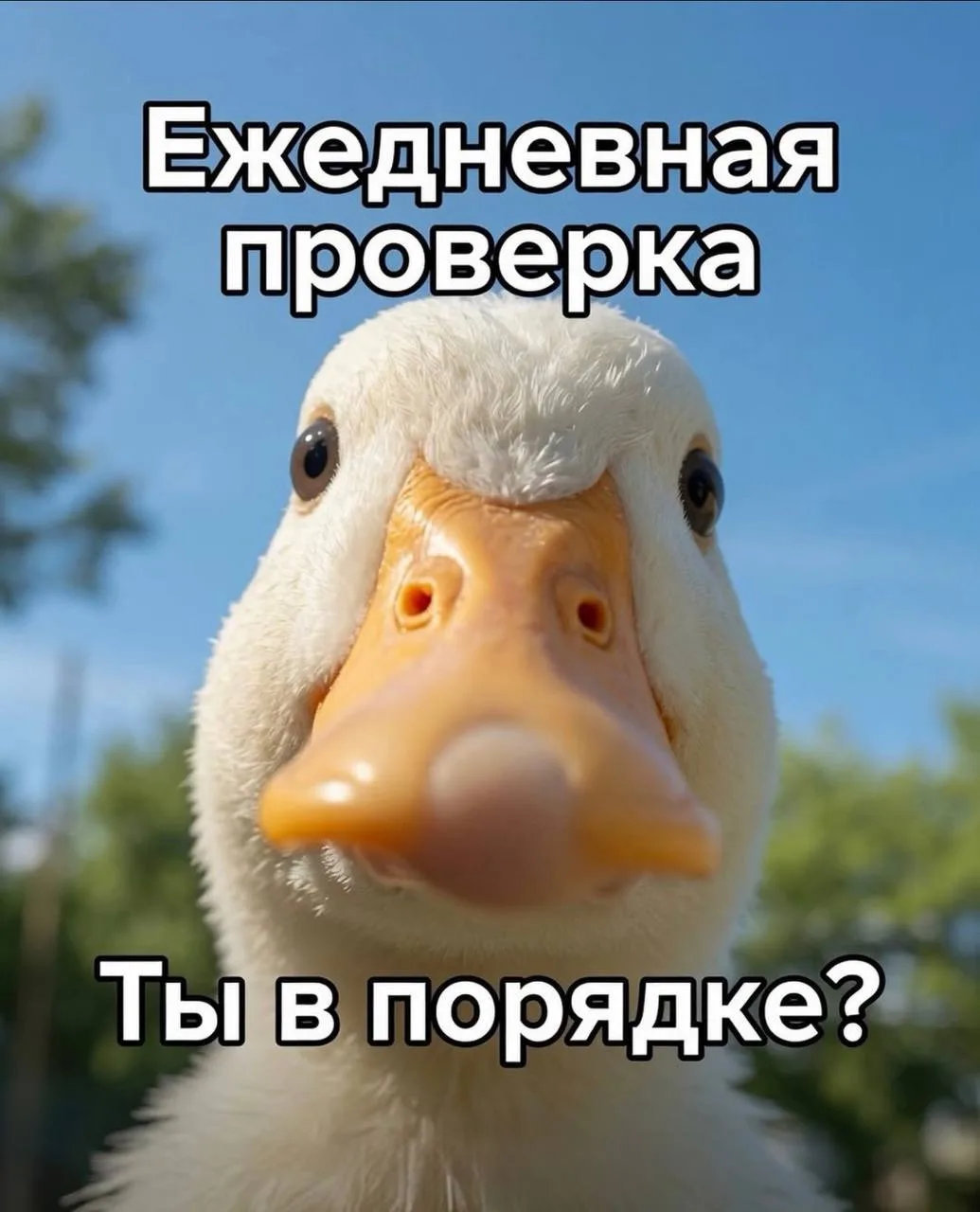 Доброе утро, мои птички ❤️