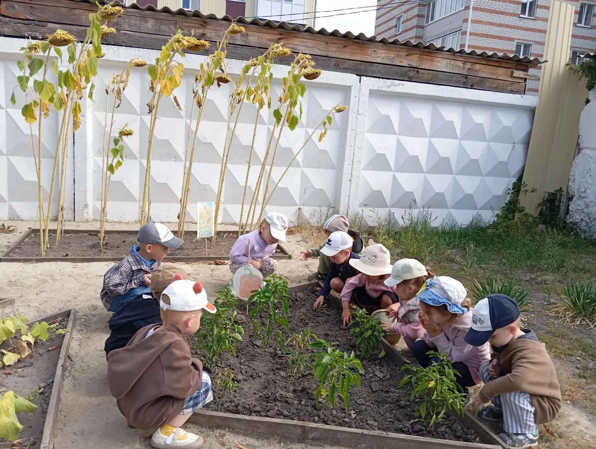 🪣«Урожайная неделя»🍅