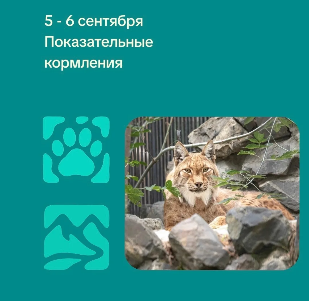 Горский | Ленинский район | Новосибирск🏡