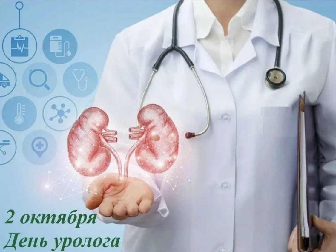 Уважаемые коллеги!