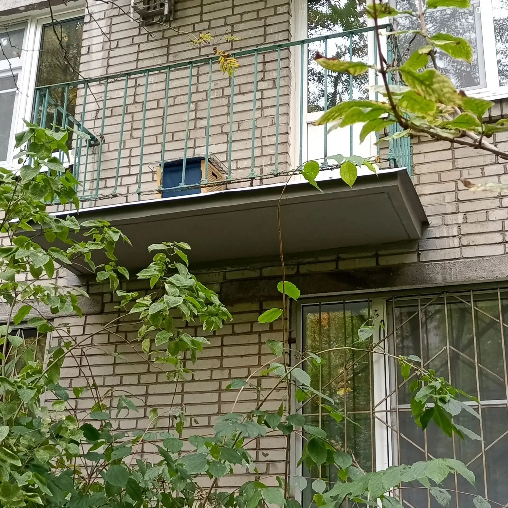 #качество_коммунальных_услуг