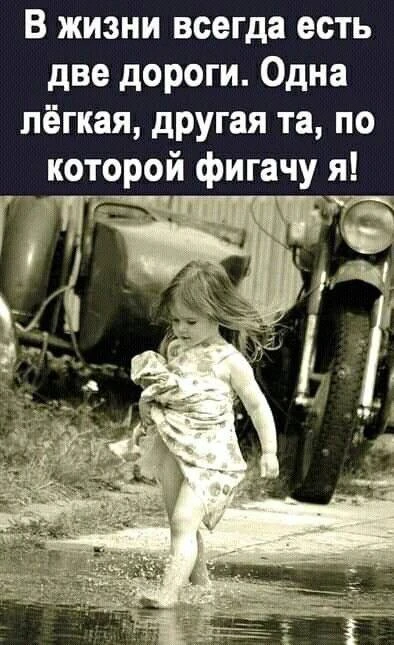 👉 Ёжка - Подписаться