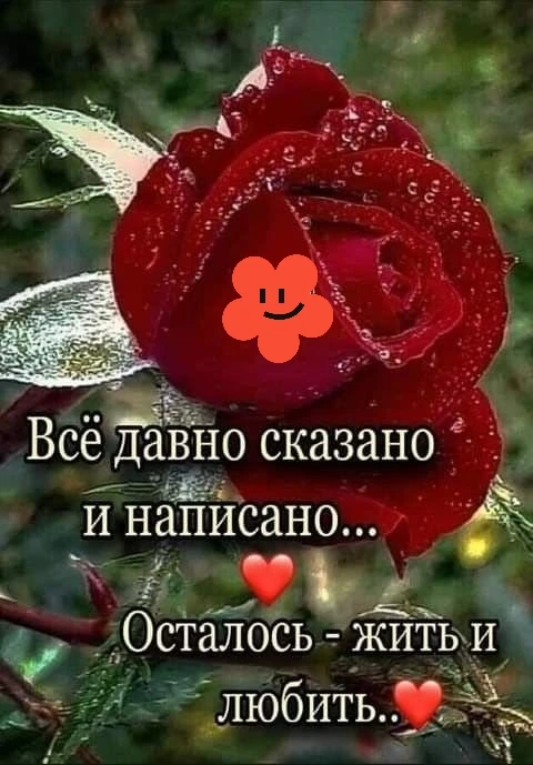 ♥️♥️♥️