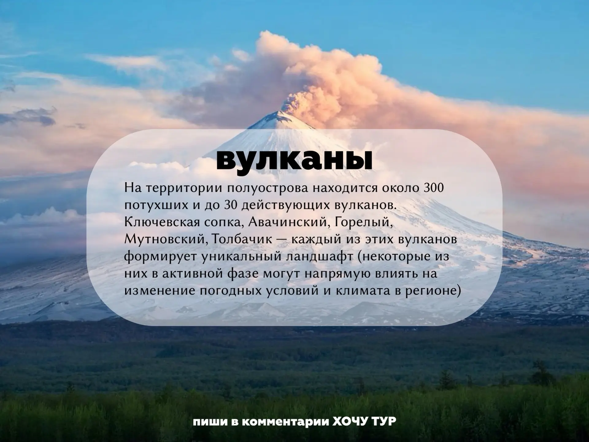 🐻 А что вы знаете о Камчатке?