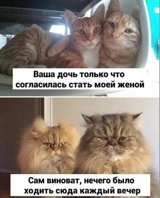Еще одно большое заблуждение, которое развеялось в процессе обучения
