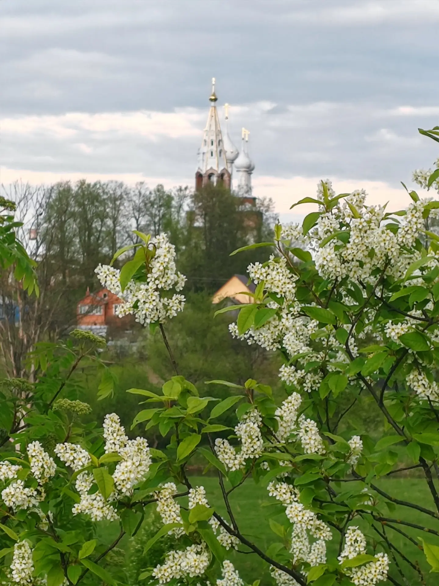 #Дунилово  📷 Елена Кистровских