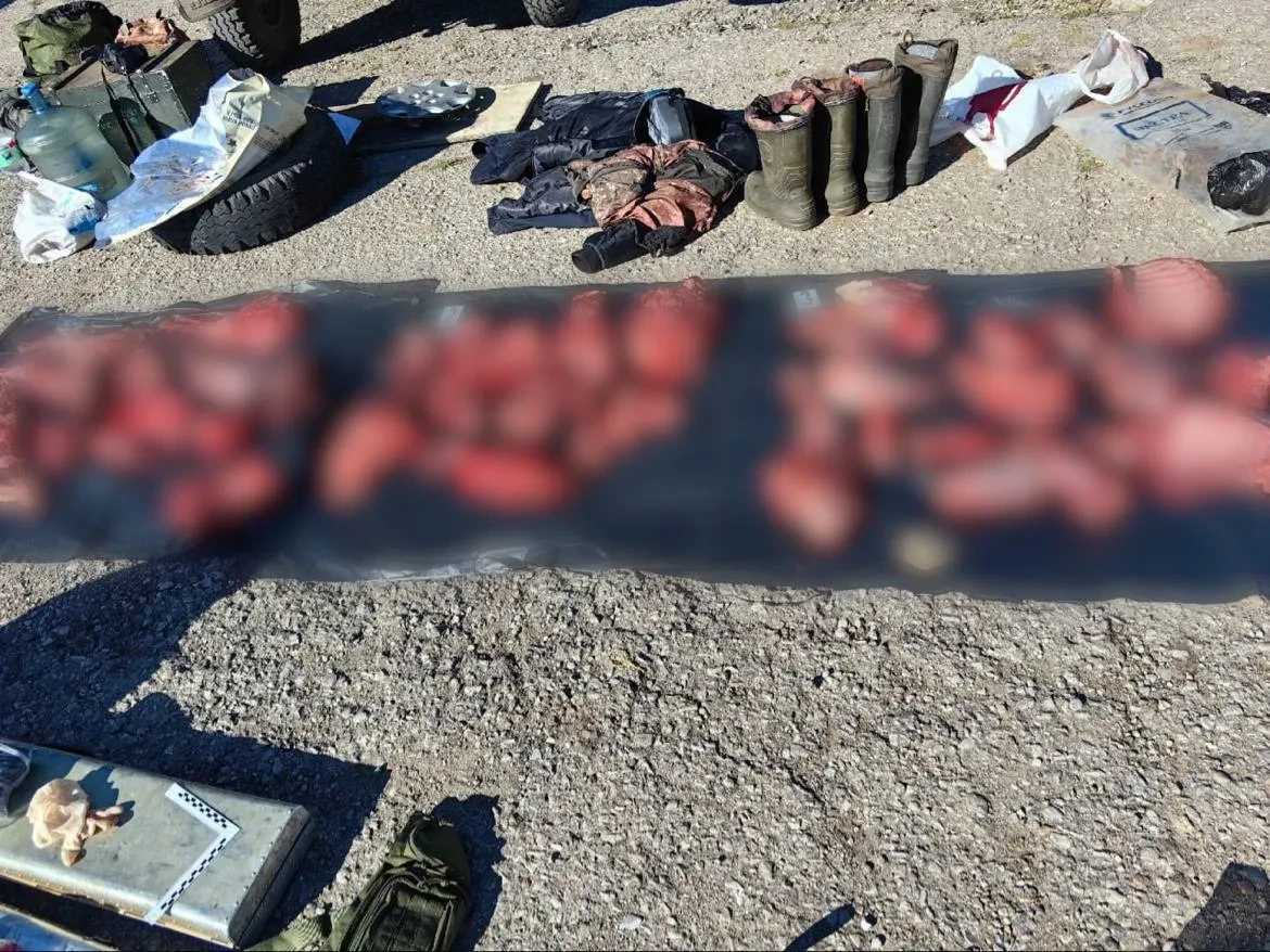В Баяндаевском районе Иркутской области задержали браконьеров, застреливших трех косуль...