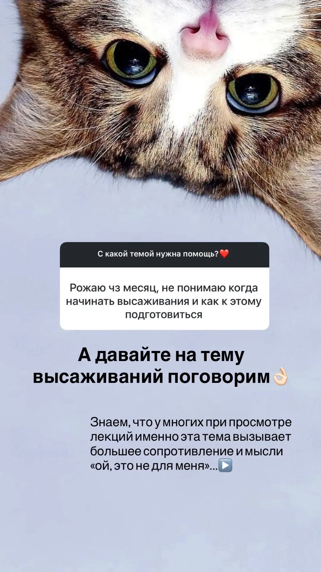 Про высаживания💦