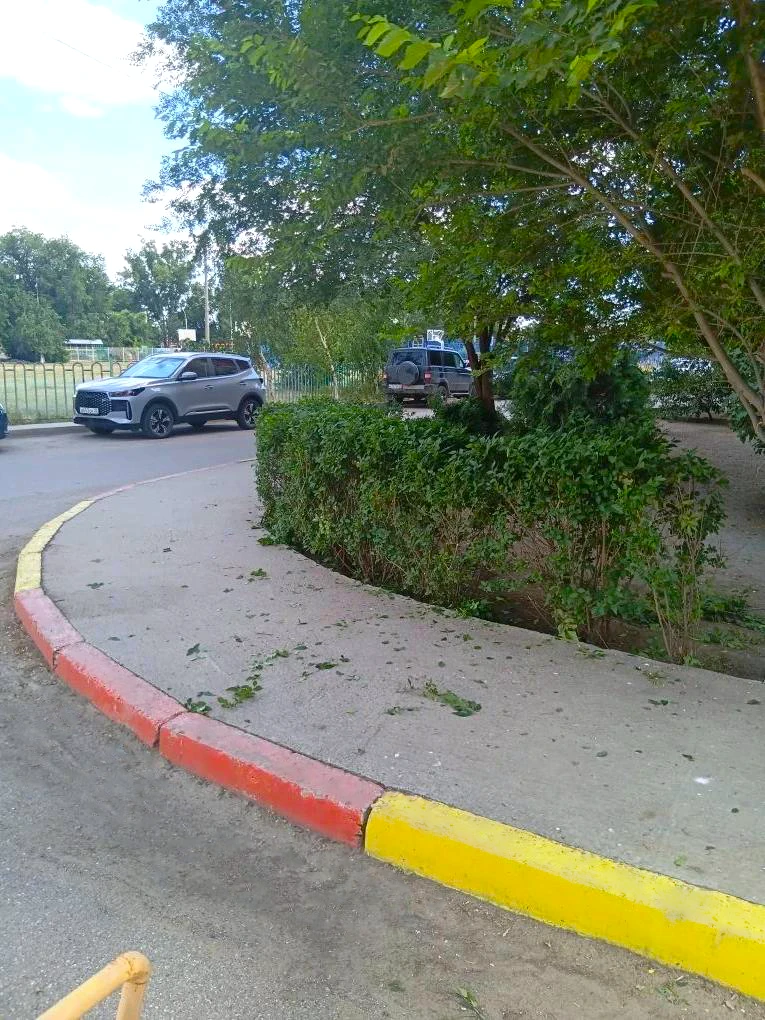 К новости «✂️ Летняя стрижка для вашего двора! 🌳»