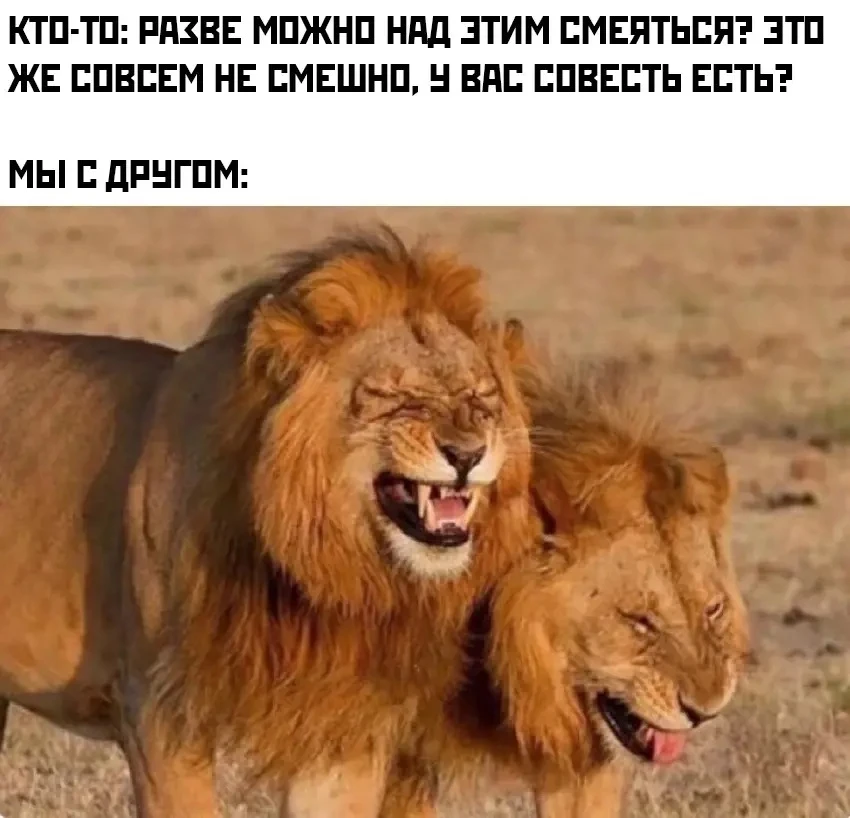 А нам смешно