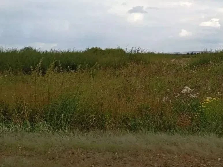 В Ачинском округе многодетной семье предоставили непригодный для строительства дома зем...