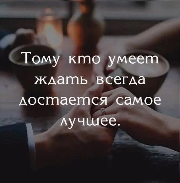 Цитаты о терпении