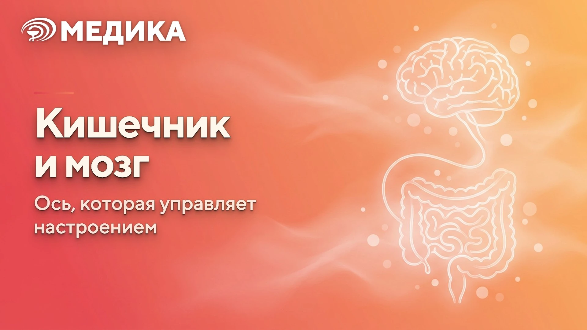 🧠 95% серотонина вырабатывается в кишечнике, а не в голове.