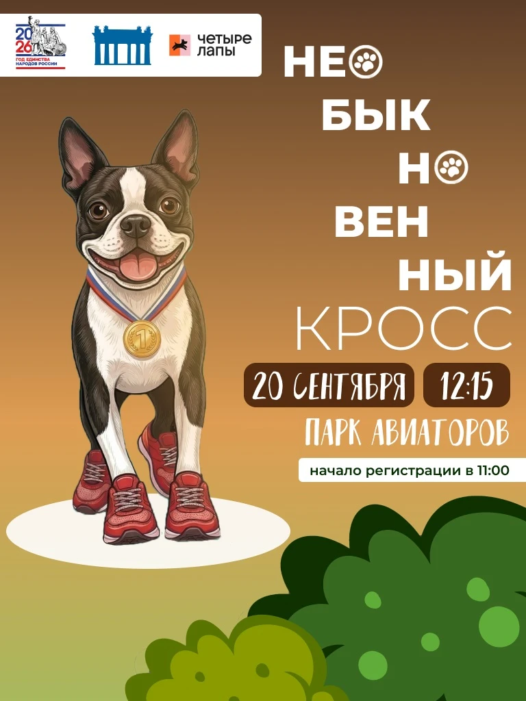 «Необыкновенный кросс» в Московском районе
