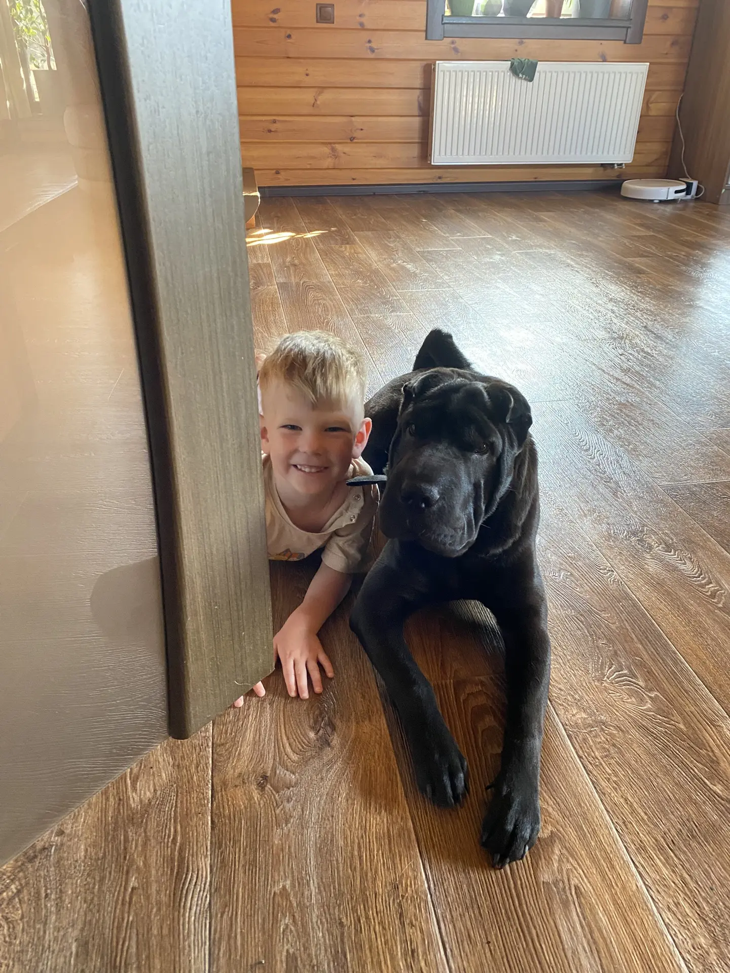 Месяц назад в нашем доме появилось мохнатое чудо🐶 Мы его приняли и полюбили. Теперь Ле...