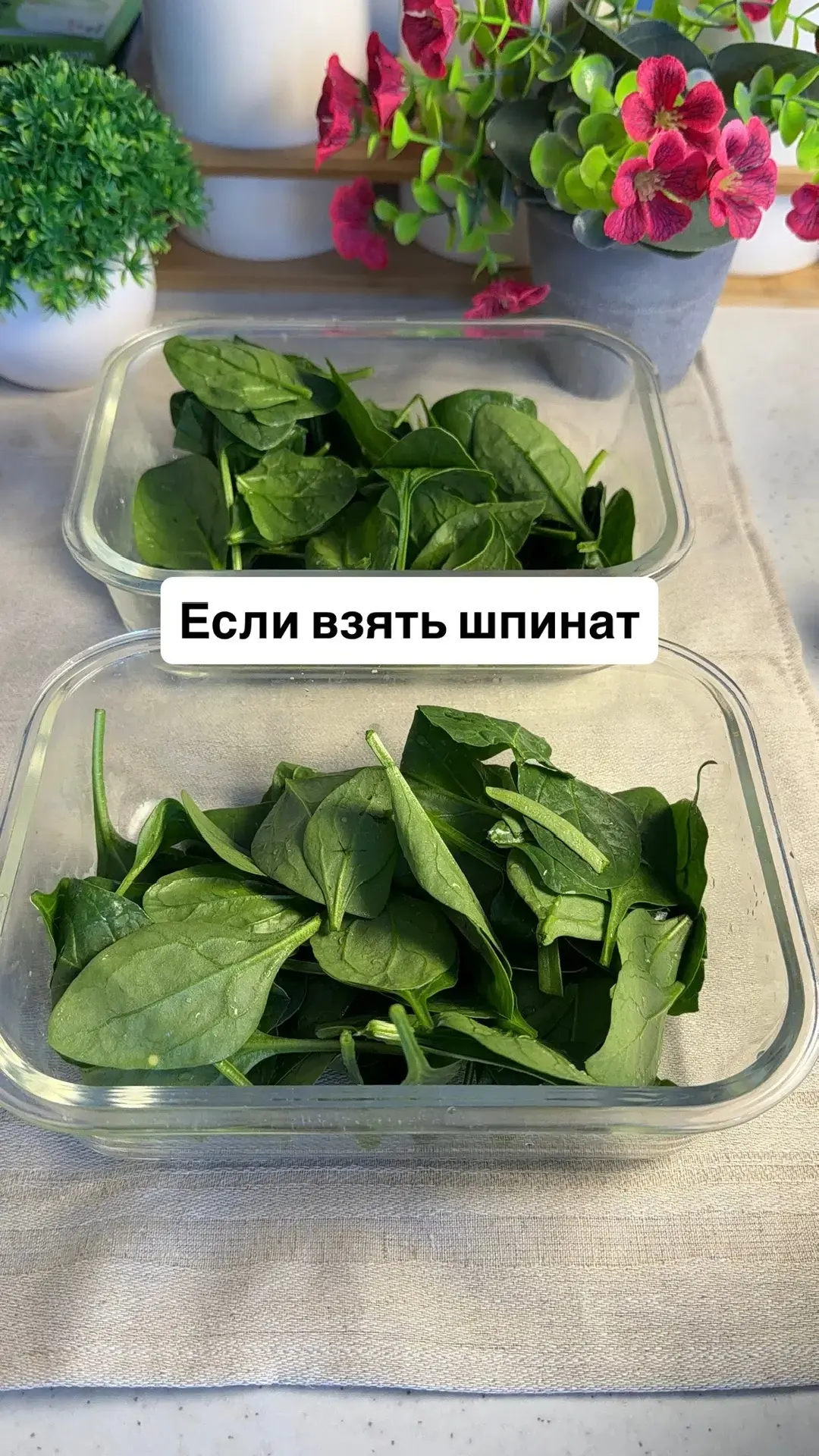 Белковый ужин, который можно есть даже на ночь)  Ингредиенты: Шпинат — 50 г яйца — 2 шт творог зернё