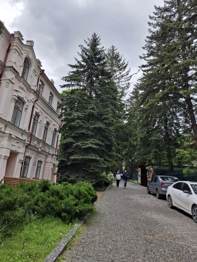 Вчера решила прогуляться😊