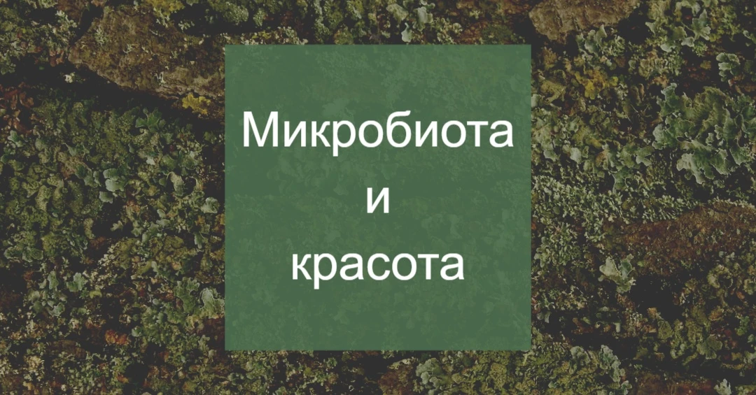 Недавно я была на приеме у эндокринолога. Попала удачно — доктор с превентивным векторо...