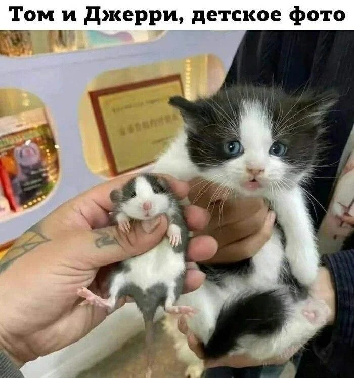 В начале карьеры 😁