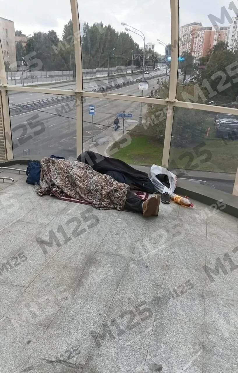 👀 Соседи пишут, что новый переход на 800-летия/Талдомской/Коровинском облюбовали марги...