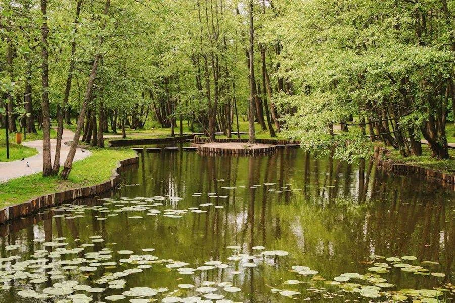 Я люблю этот парк потому, что в нем очень тихо и можно спокойно сидеть на скамейке и предаваться вес