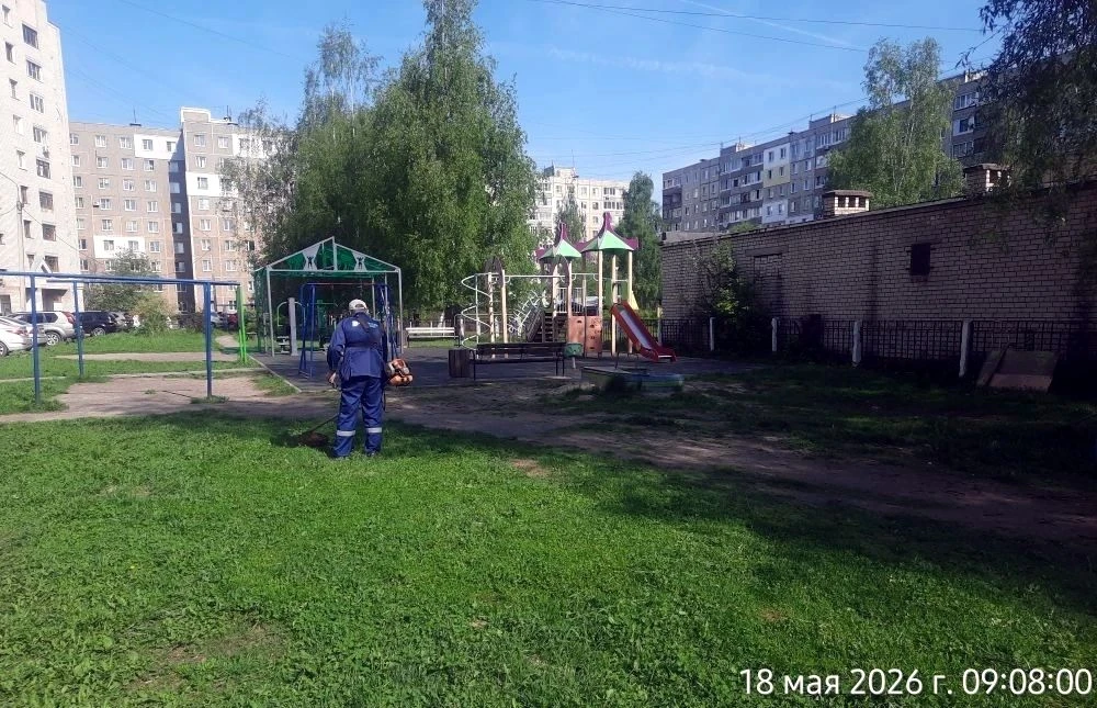 🌱Стартовал сезон покоса Приступили к покосу травы во дворах. Свежескошенная трава пахнет детством, д