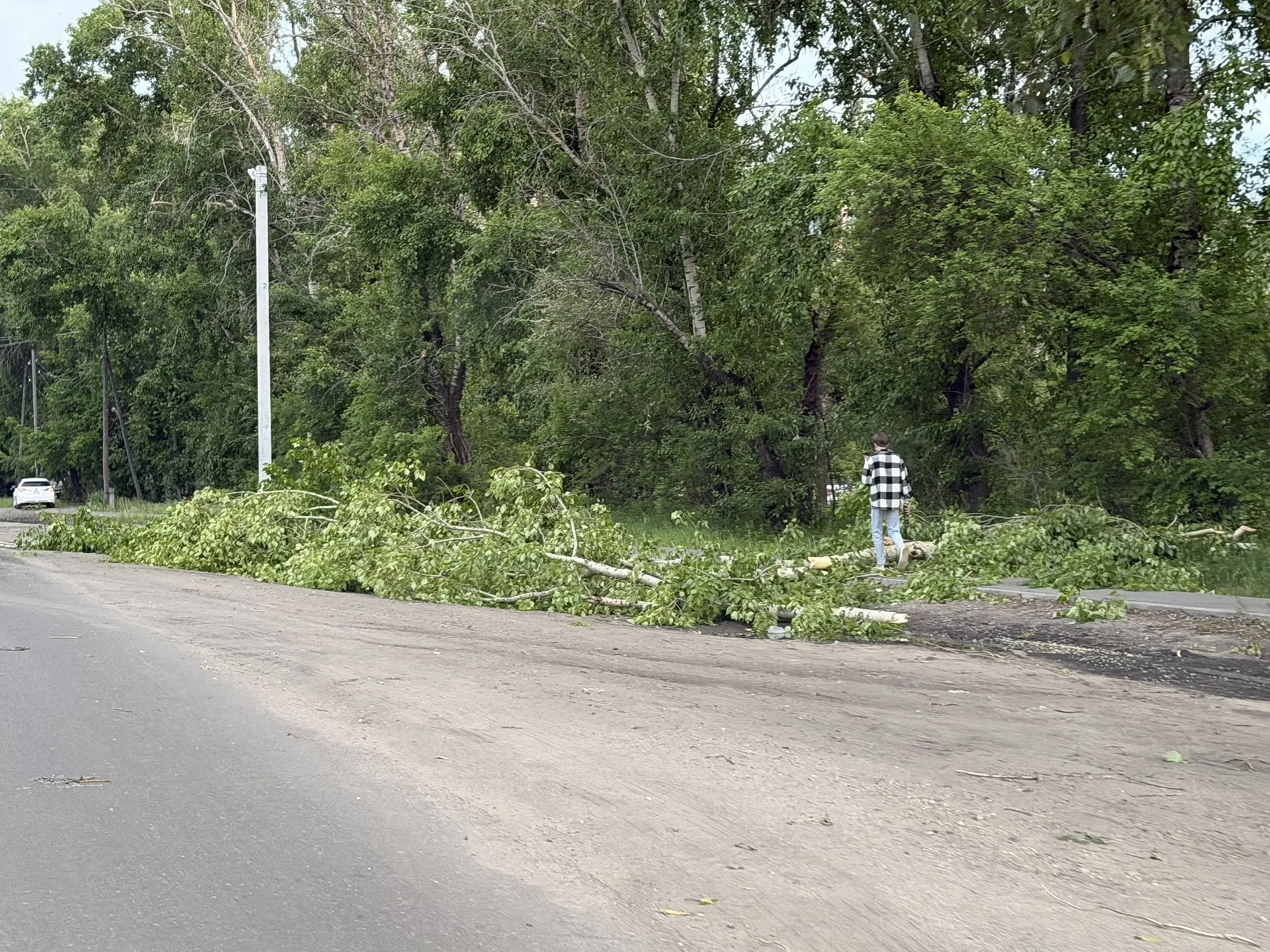 Пока обошлось, но повод задуматься есть 🌳⚠️

📍 Сегодня вечером возле магазина «Фрешмаркет» на улиц