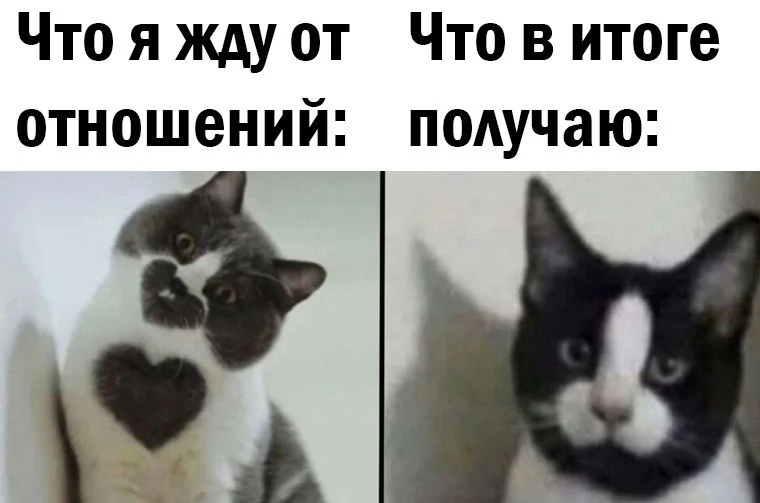 Подписывайтесь😇 - https://max.ru/odessahumor