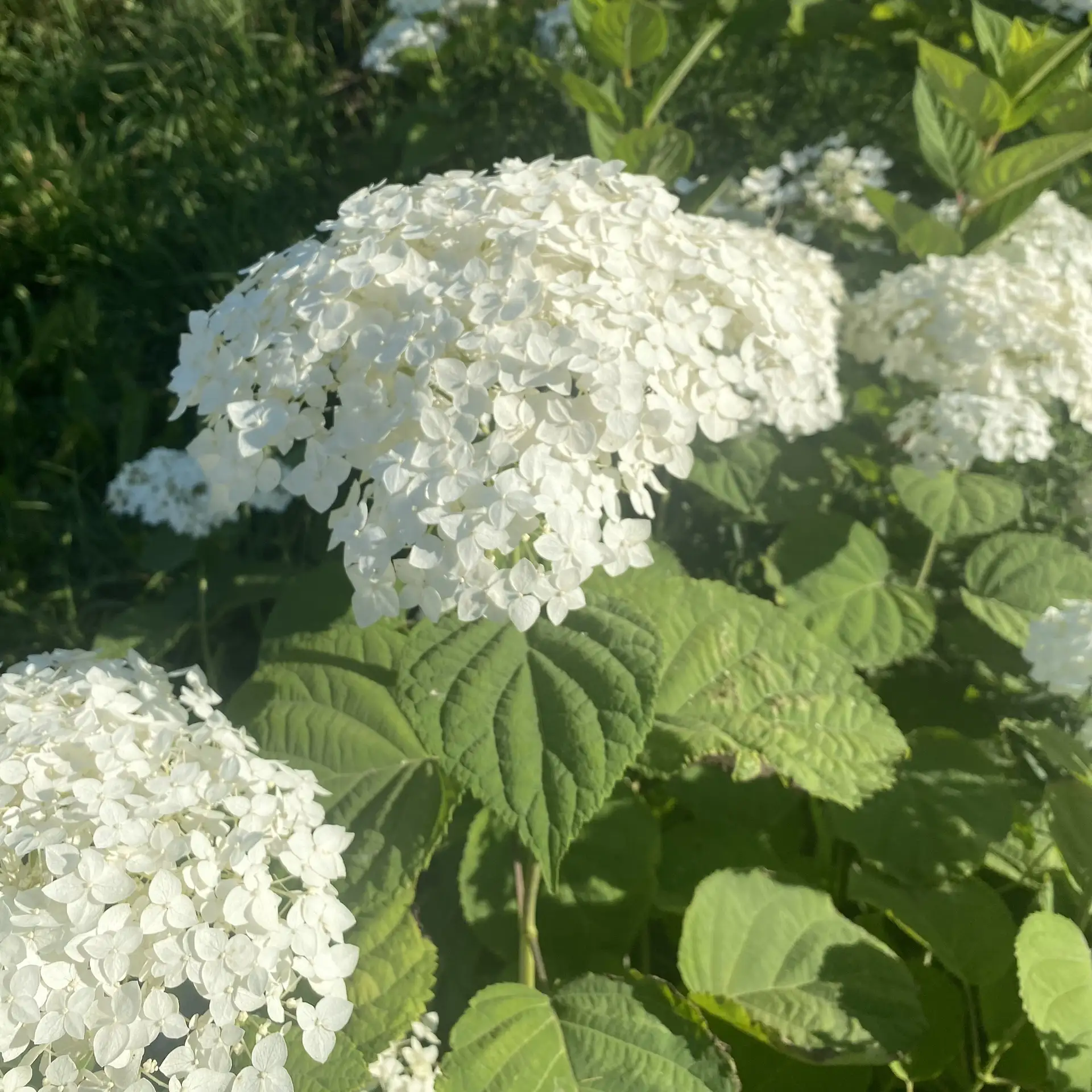 Направим энергию туда, где она необходима вам именно сейчас🌟🌟🌟

Сеанс Рэйки для всех желающих уже