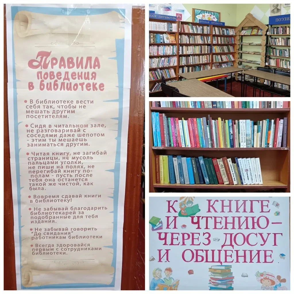 Библиотека – это дом книг. Здесь живут и дружат между собой книги. В самом простом пони...