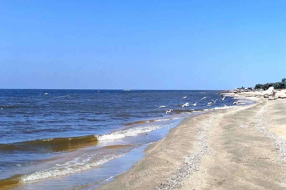 ❗️ В Ейском лимане нашли тело пропавшего пенсионера