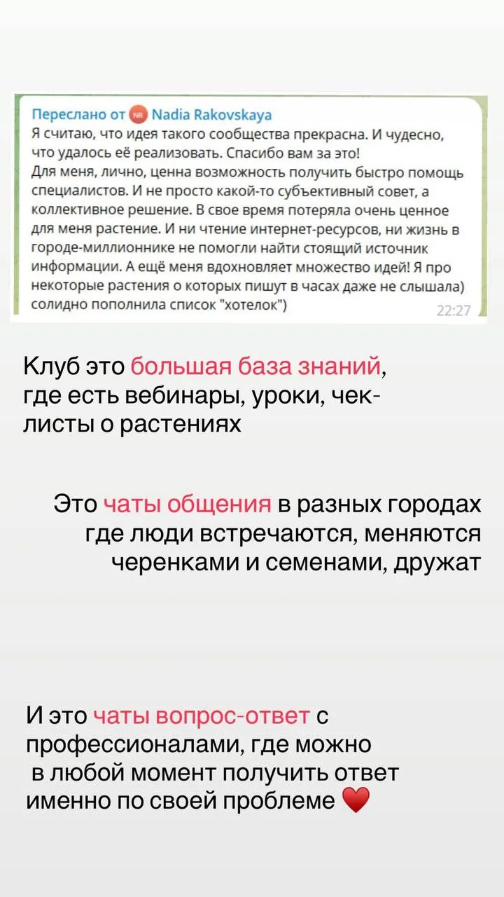 Изображение 2 к публикации «О жизни и растениях | Дом соломинки»