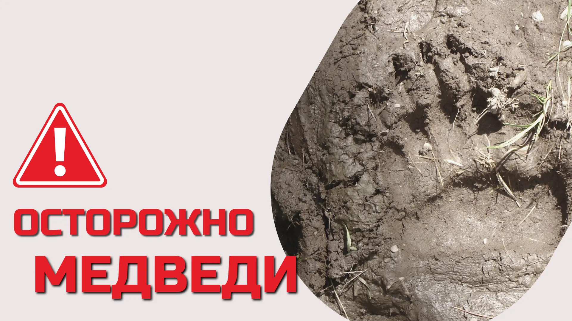 8 сентября в ЕДДС по Братскому району было зафиксировано шесть обращений от граждан о н...