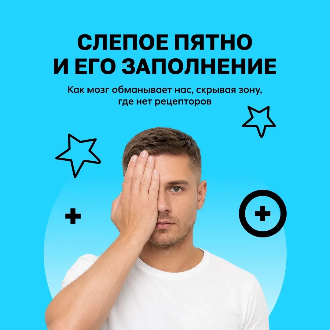 🔍 Слепое пятно: как мозг нас обманывает