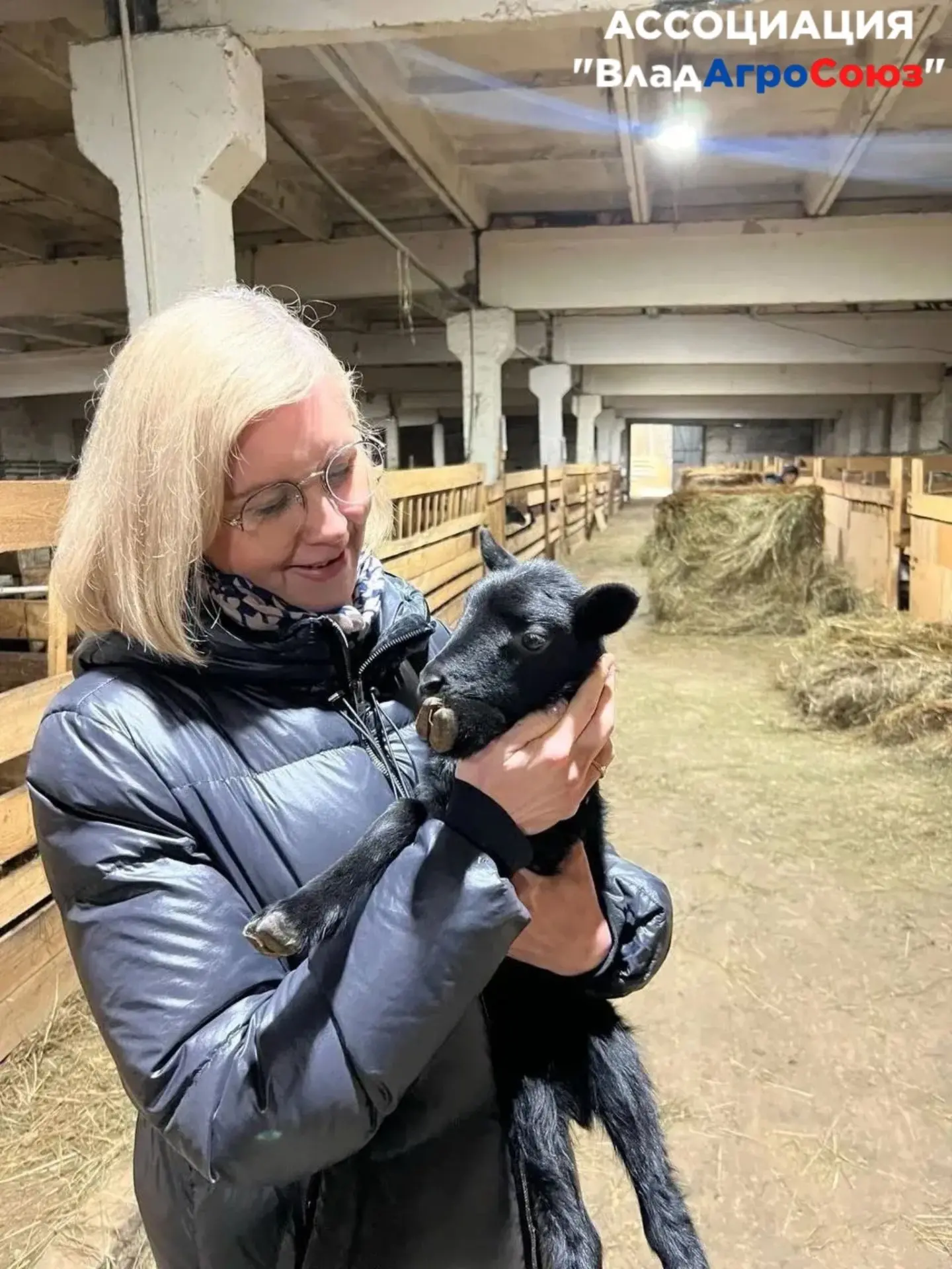 Внимание! Свежие новости о нас