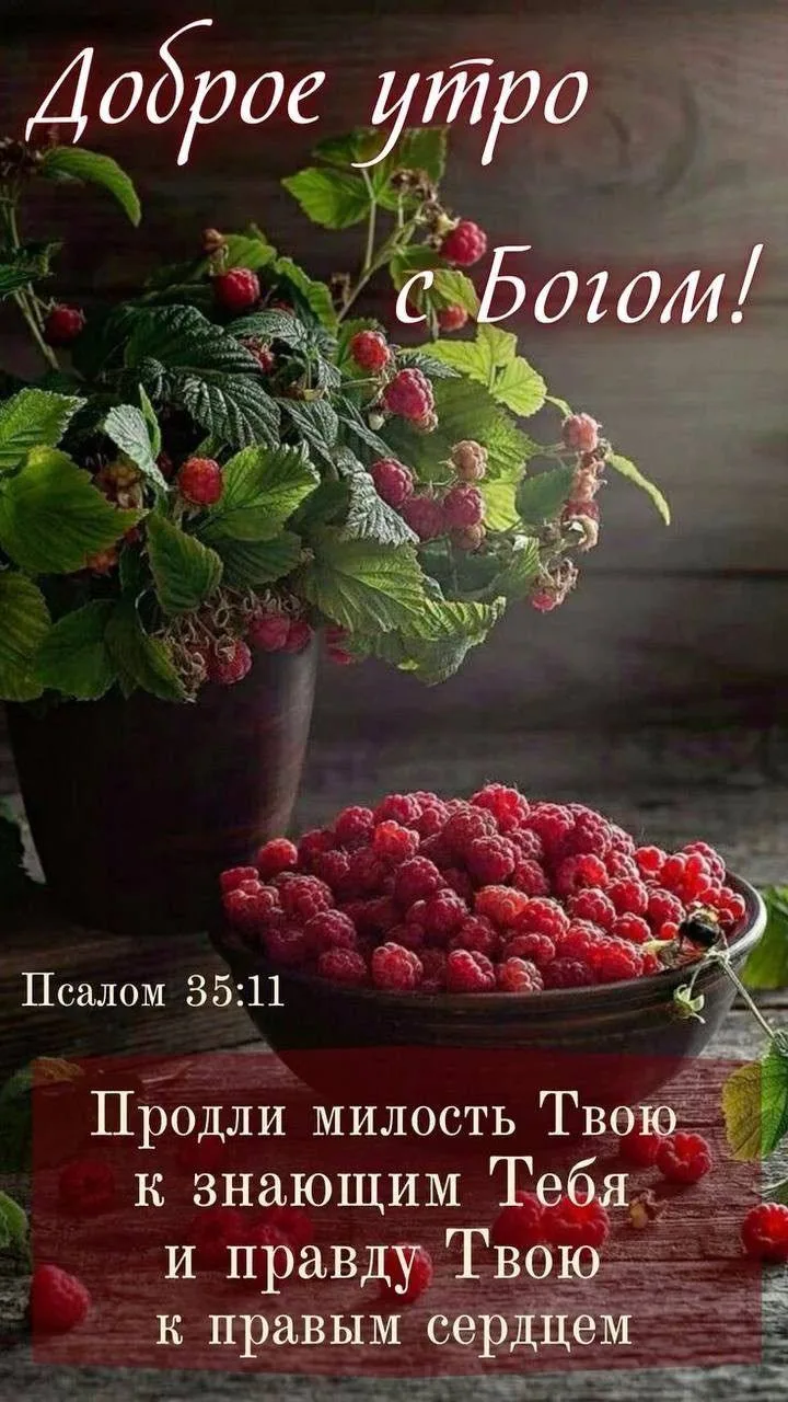 ❤️❤️❤️❤️Открытки❤️❤️❤️❤️