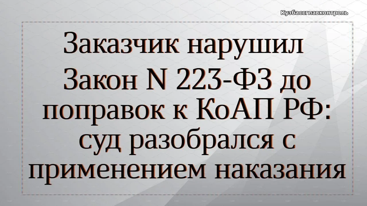 Контролеры решили, что в положении о закупке закрепили неоднозначные условия сделки с е...