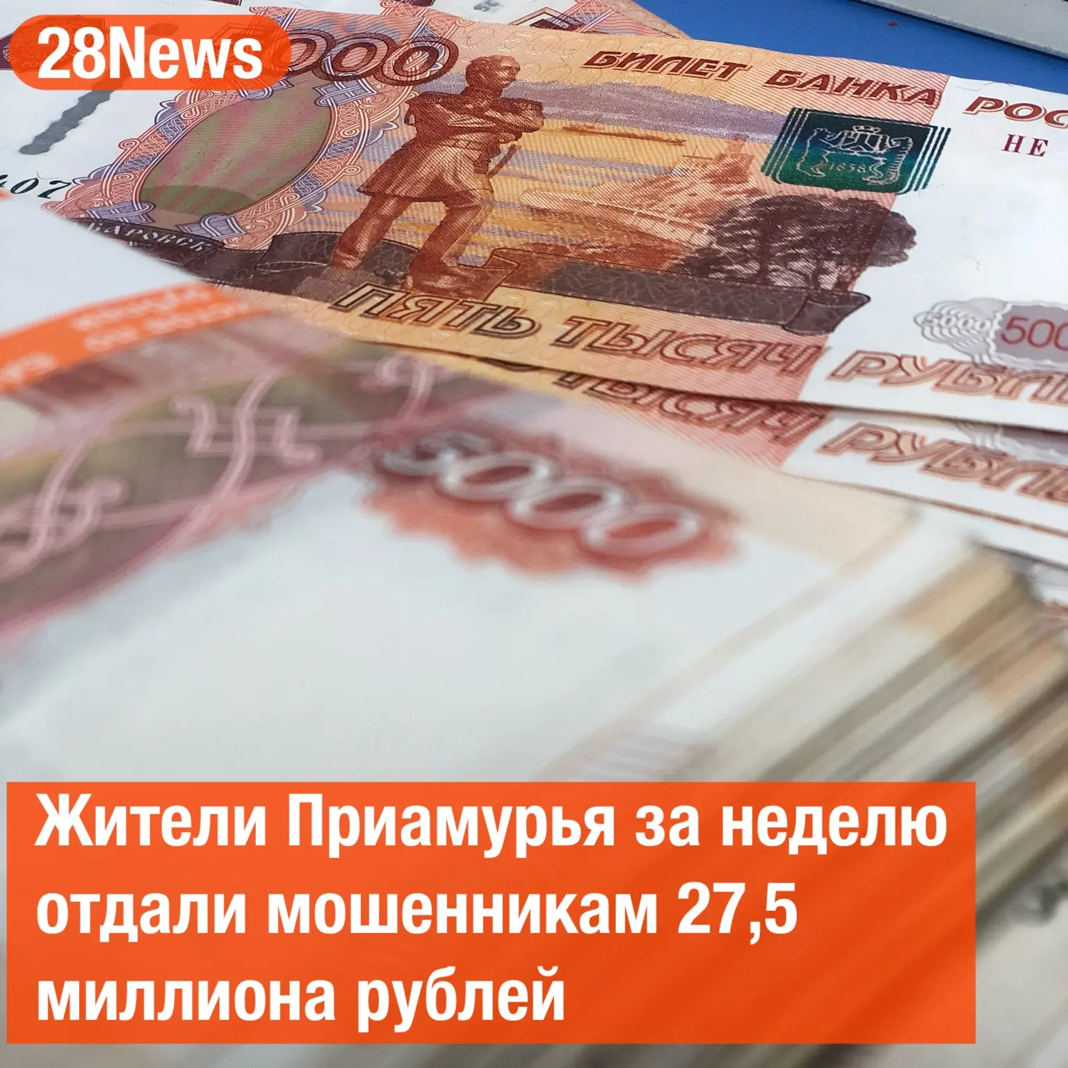Змея поселилась в машине во Владивостоке. Съезжать категорически отказывалась.