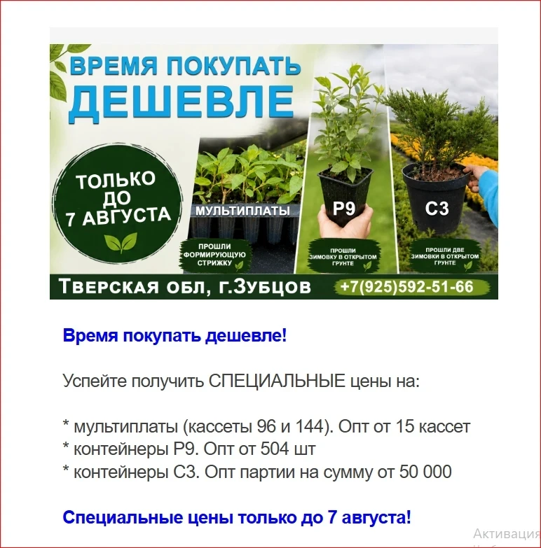 Медиа публикации