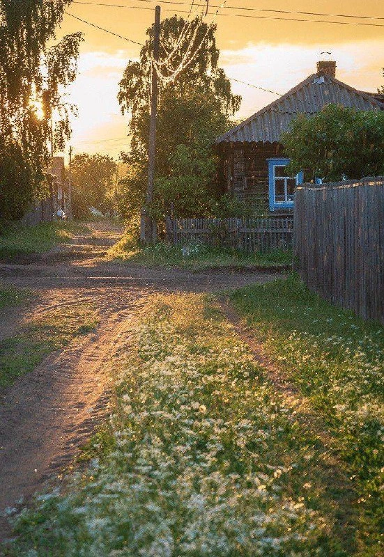 Начинается период, который у меня ассоциируется исключительно с эстетикой на фото выше)
