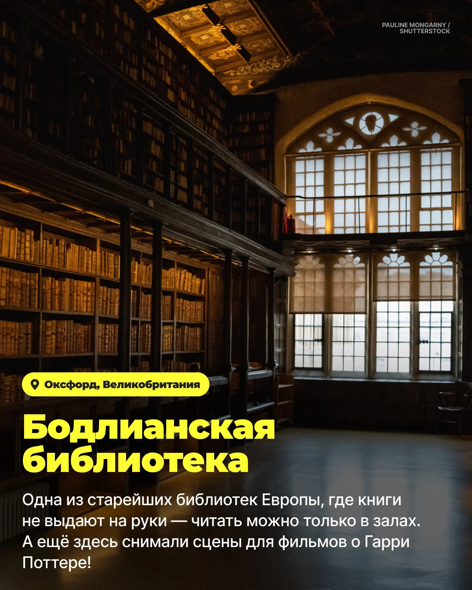 Вы уже почувствовали этот запах старых книг? 📖