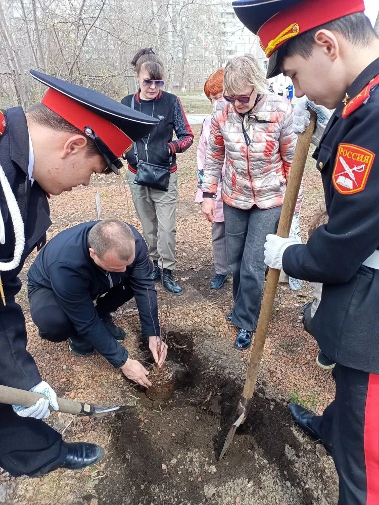 🇷🇺Сегодня на Аллее Славы пришкольного двора кадеты 8 К класса посадили рябину. Это событие посвящено