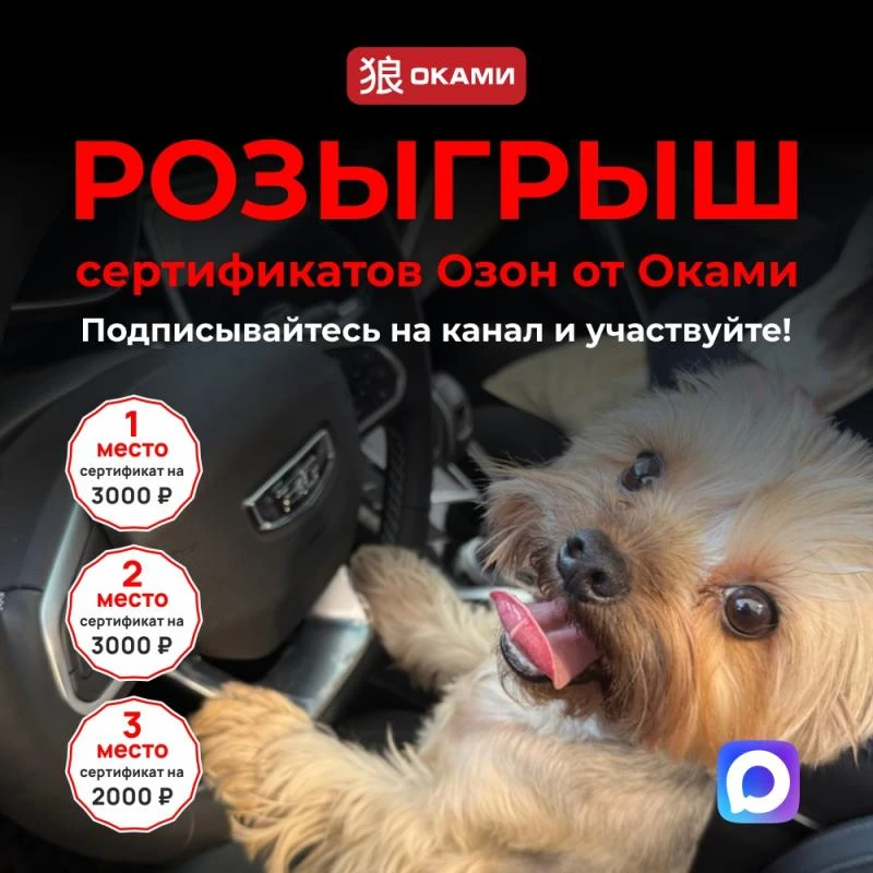 🎉 РОЗЫГРЫШ СЕРТИФИКАТОВ 🎉