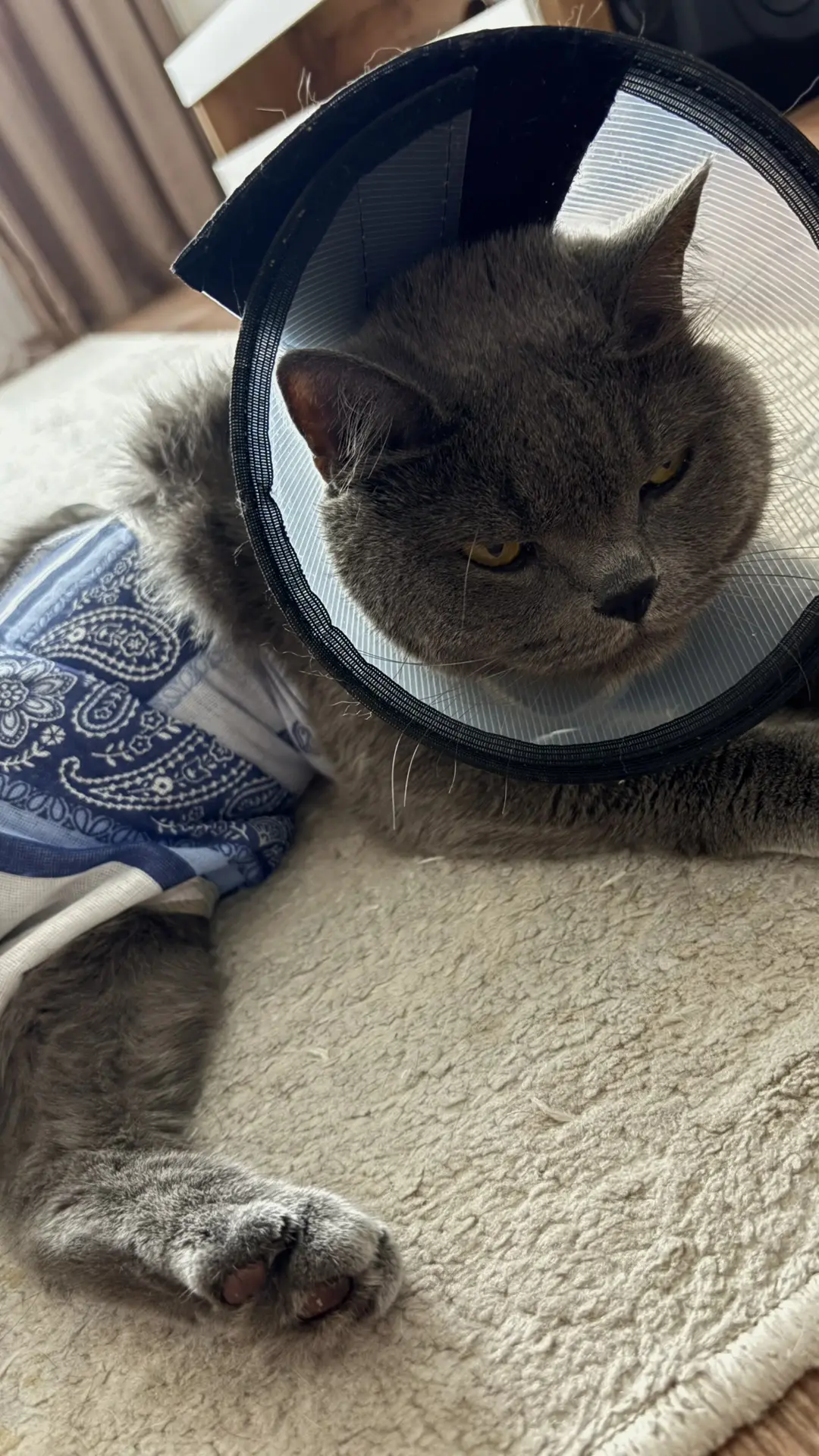 Кажется, им не нравится их прикид