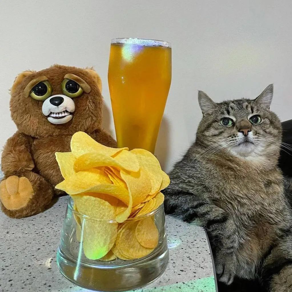 🍺 Сегодня отмечается международный День пива.