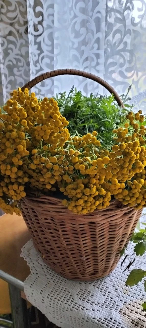 💙Не удержалась ,собрала себе букет.