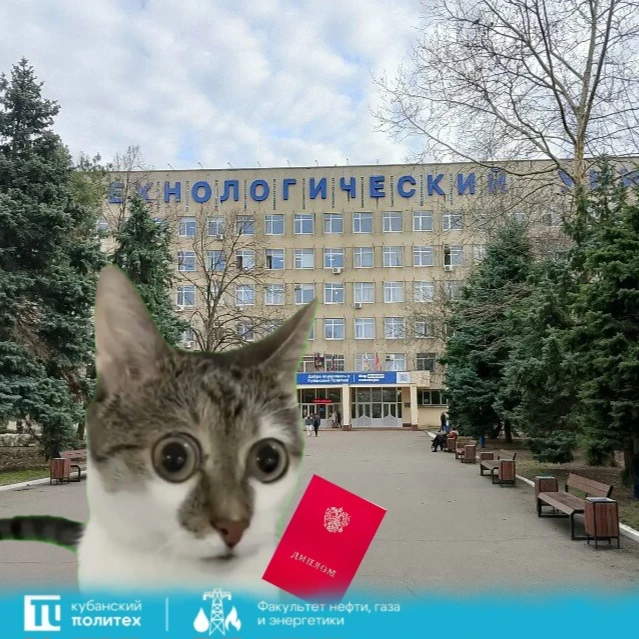 🤗 Погрустили и хватит

Возьмите, пожалуйста, в магистратуру

#шутки_из_газопровода 

@kubstu_offici