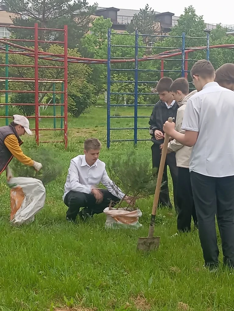 🌳 Продолжая традиции! 🌳  В рамках доброй традиции, выпускники 9"Вл" класса посадили деревья 🌲🌲🌲 на т