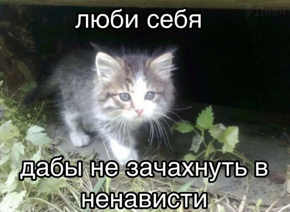 🌝Доброе🌝
